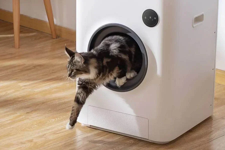 litter box for 2 cats